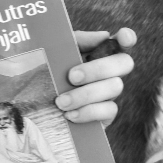 Exploring the Eight Limbs of Yoga